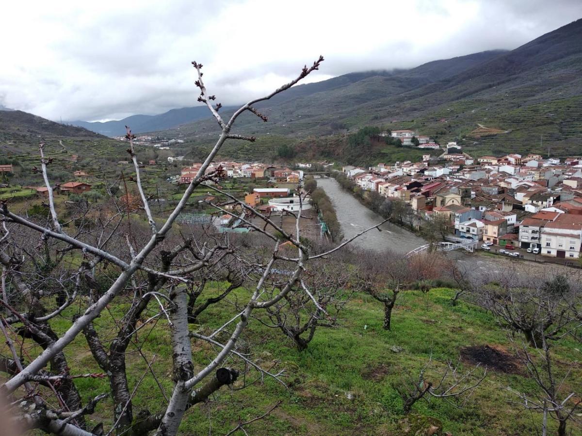 Casas Rurales Carrizosa Navaconcejo Eksteriør billede
