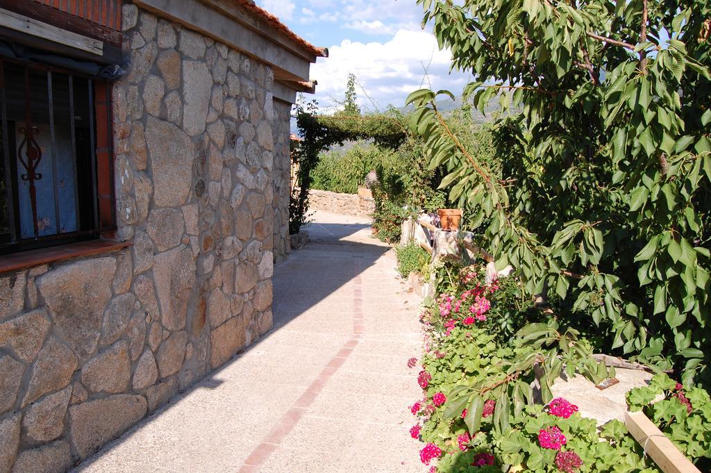 Casas Rurales Carrizosa Navaconcejo Eksteriør billede